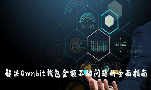 解决Ownbit钱包金额不动问题的全面指南