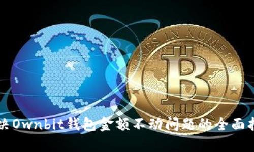 解决Ownbit钱包金额不动问题的全面指南