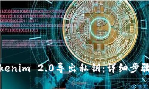 如何使用Tokenim 2.0导出私钥：详细步骤与注意事项