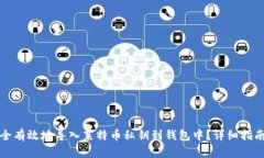 如何安全有效地导入莱特币私钥到钱包中？详细